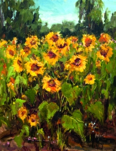 Amato_Stephanie Duke Farm Sunflowers